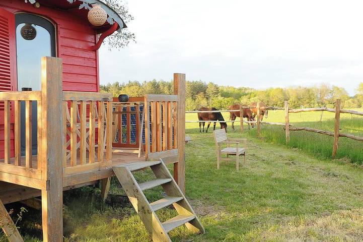 Log cabin for 2 people, with sauna and garden as well as terrace - 1