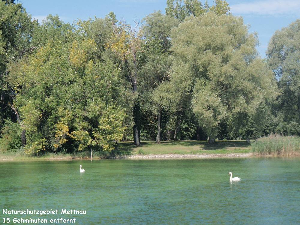 Ganze Ferienwohnung, Ferienwohnungen Familie Bill - 1-Zimmer-Fewo, Dg, 40 m² in Radolfzell, Radolfzell am Bodensee