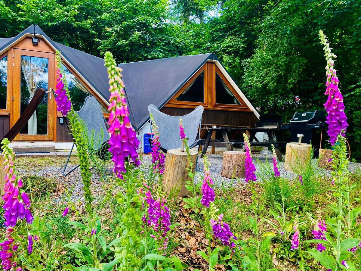 Chalet Tropical avec bain à bulles - In the Woods in Gesves, Région de Namur