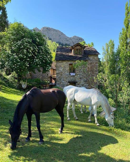Gîte pour 7 personnes, avec vue et jardin, adapté aux familles dans Abella de la Conca - 2