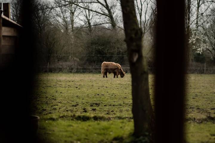 Blockhütte für 4 Personen, mit Terrasse und Whirlpool sowie Garten - 1