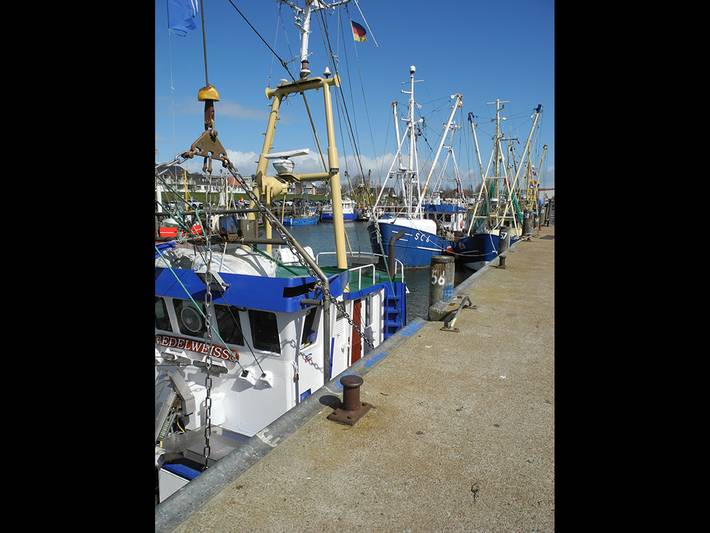 Ganze Wohnung, FeWo Sankt Florian nähe Heide, Spo, Büsum in Lehe, Halbinsel Eiderstedt
