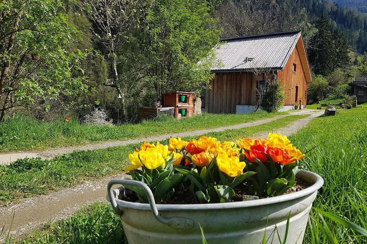 Baumhaus \"Laugen Lodge\" mit Natur-Schwimmteich, Sauna &  Grillstellen in St. Pankraz, Ortleralpen