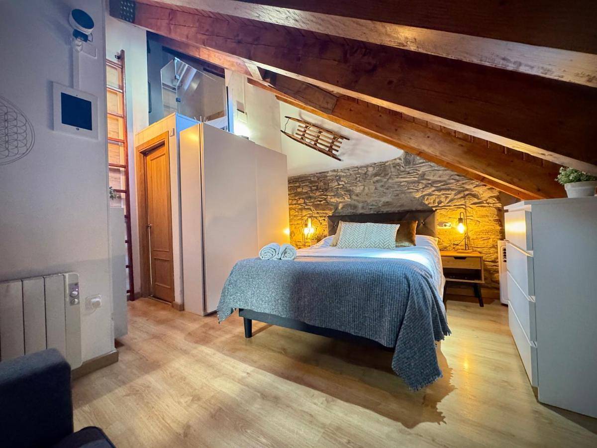 Apartamento entero, Cal Domènec Rialp - Dúplex con encanto - Se admiten mascotas in Port Ainé, Rialp