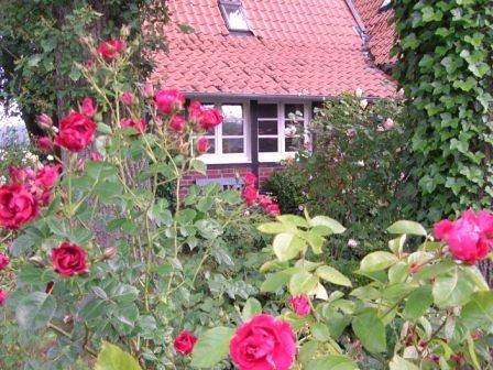 Ganze Wohnung, Landhaus "Am Dahlberg" - Appartment "Im Alten Backhaus", ca. 50 qm in Coesfeld, Münsterland