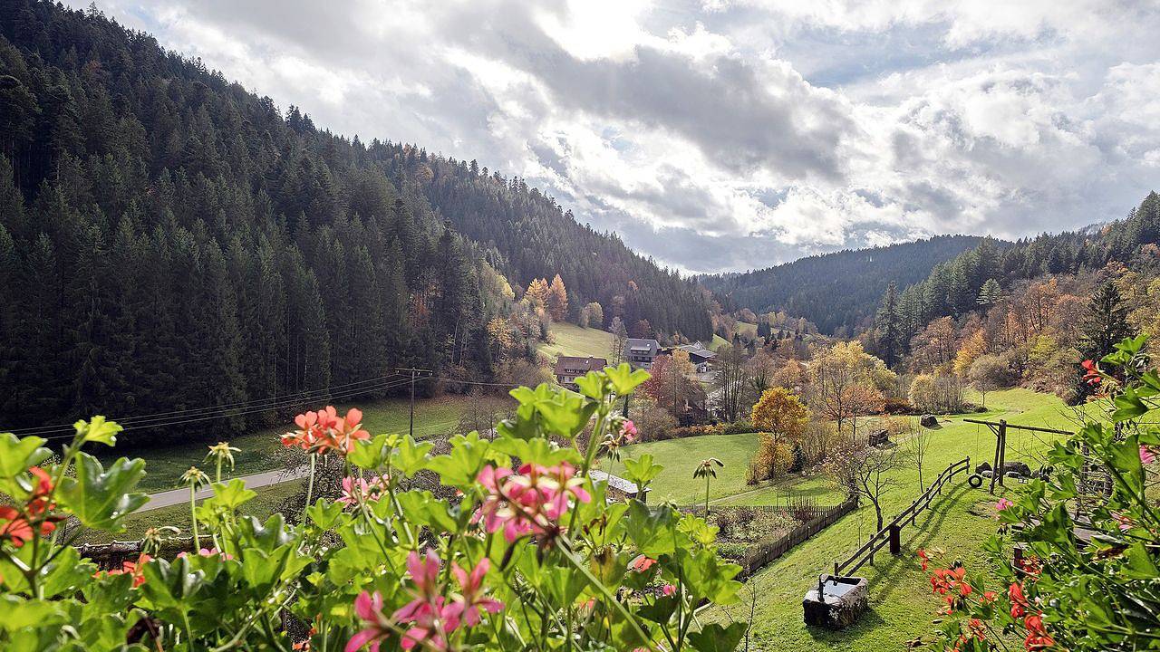 Ganze Ferienwohnung, Ferienwohnung für 4 Personen (50 m²) in Bad Rippoldsau-Schapbach in Bad Rippoldsau-Schapbach, Mittlerer Schwarzwald