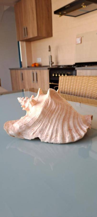 Location de vacances pour 5 personnes, avec jardin et vue dans La Manga del Mar Menor - 2