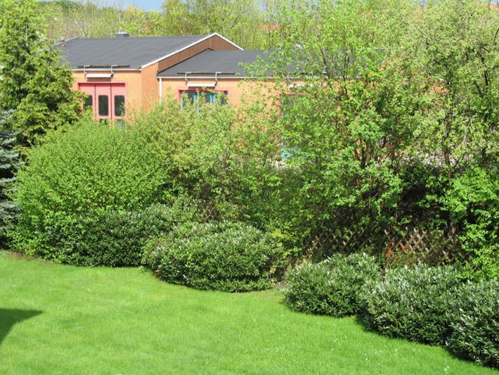 Ferienwohnung für 3 Personen, mit Balkon in Bad Harzburg - 3