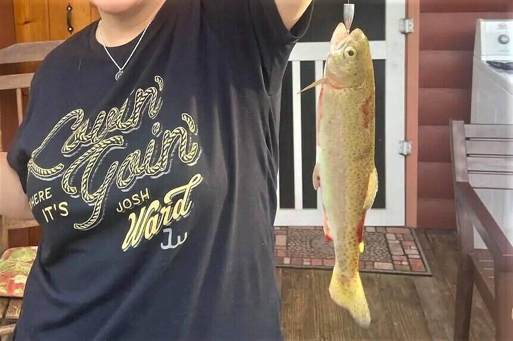 Troutin' About - A cozy cabin on the river! in Bryson City, Fontana Lake