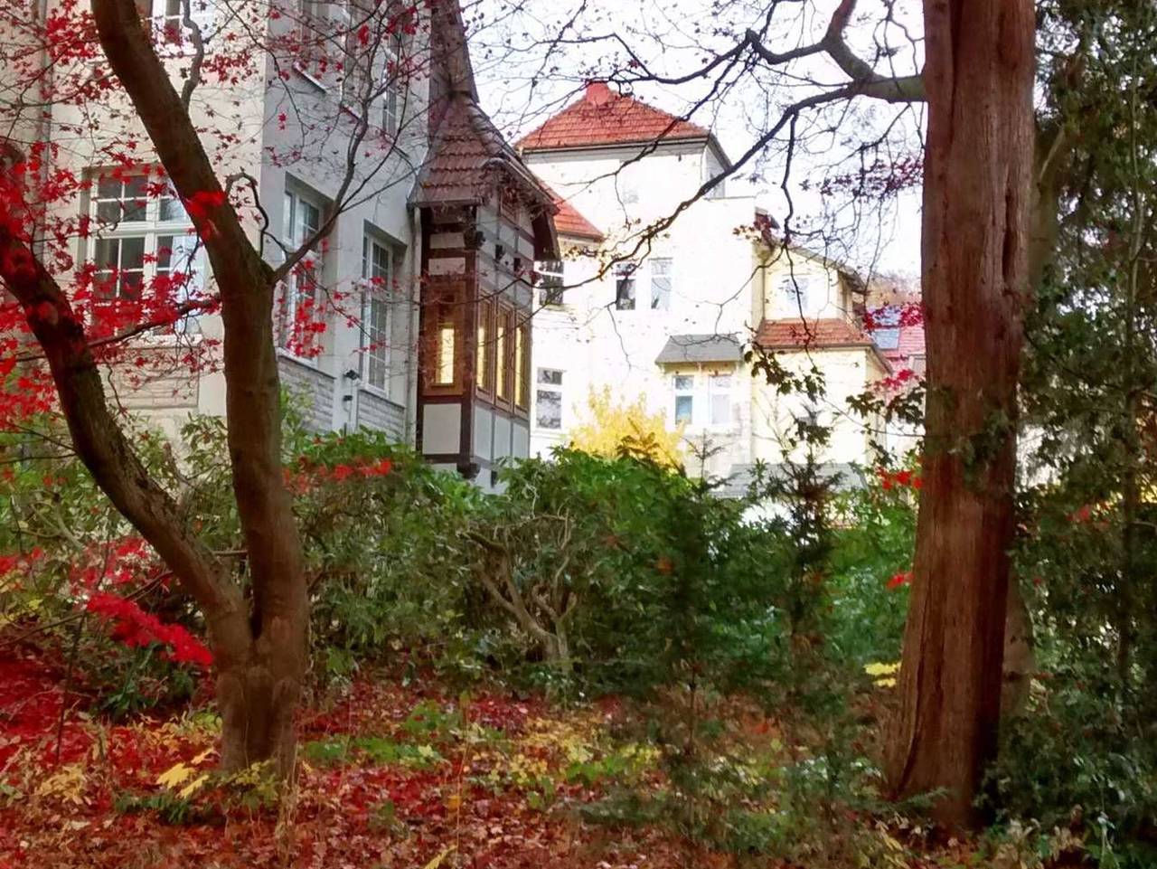 Ganze Ferienwohnung, Villa Kurz in Bad Sachsa, Harzvorland