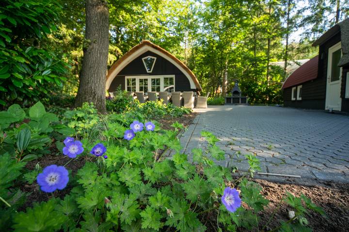 Vakantiehuis voor 18 personen, met tuin en kinderzwembad in De Bult