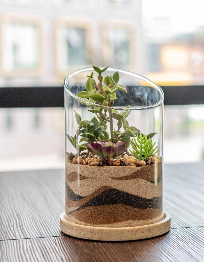 Maison d’hôte pour 4 personnes à Manchester - 2