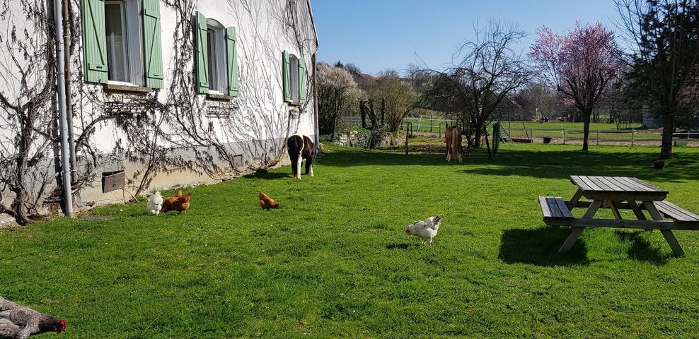 Chambre d’hôte pour 3 personnes, avec jardin dans Haute-Saône - 3