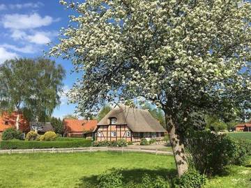 Ferienhaus für 6 Personen, mit Terrasse und Garten in Hohwacht