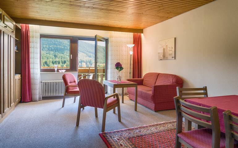 Gîte pour 5 personnes, avec balcon, adapté aux familles à Titisee-Neustadt - 4