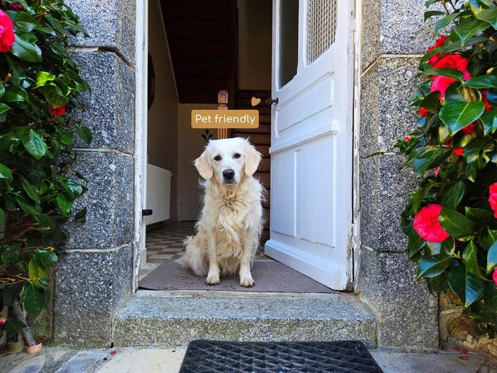 Location de vacances pour 10 personnes, avec jardin à Châtelaudren - 2