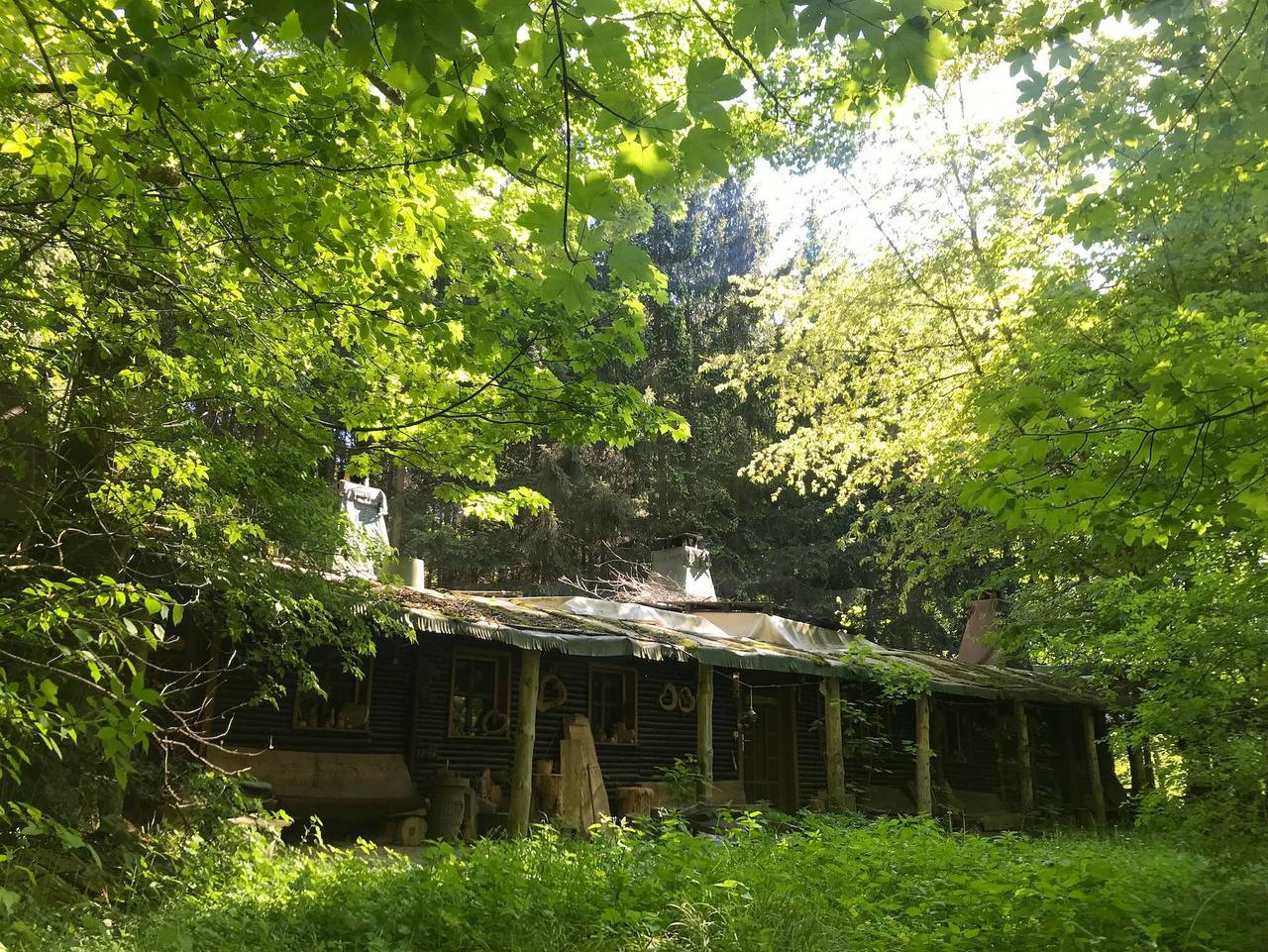 Ganze Ferienwohnung, Ferienhaus Das wilde Auwaldhaus - Ferienwohnung in Bertsdorf-Hörnitz, Zittauer Gebirge