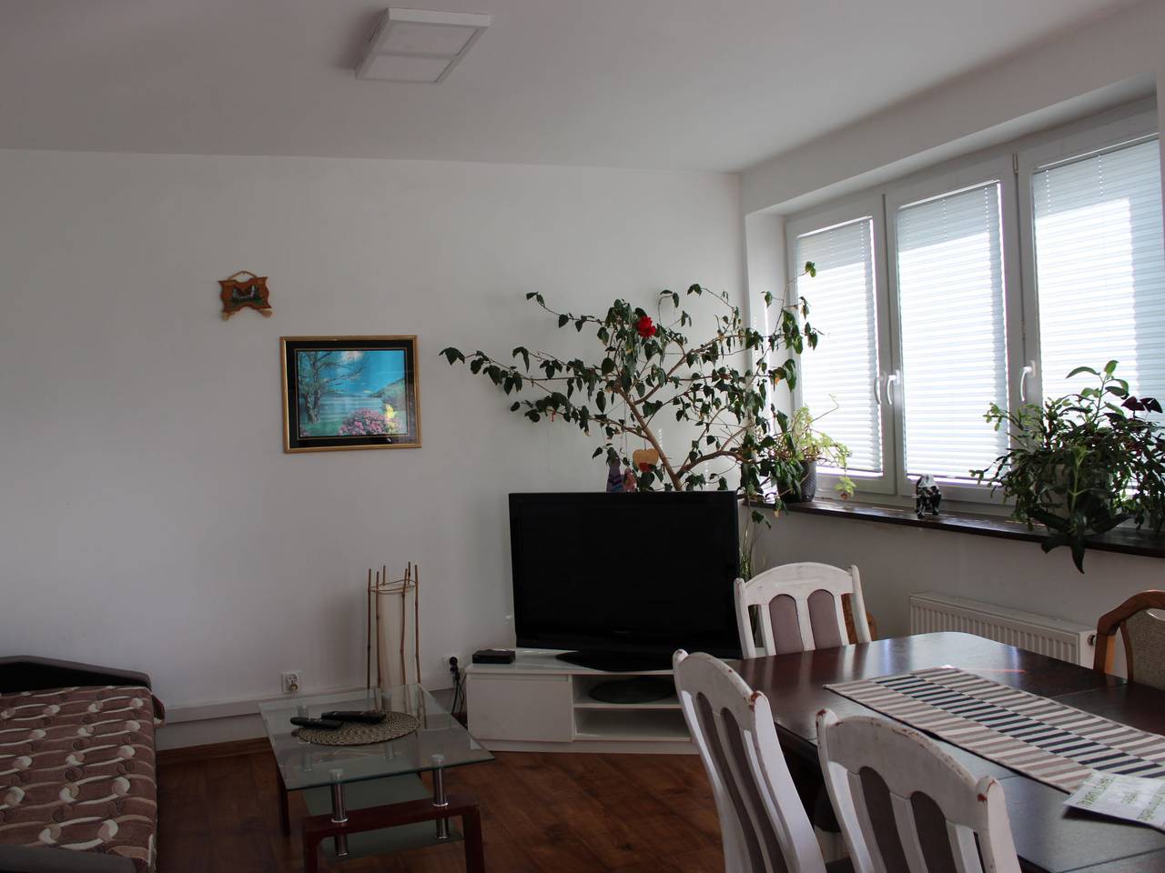 Ganze Wohnung, Parkowa apartament in Köslin, Polnische Ostsee