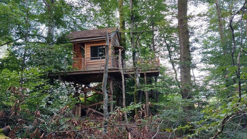 Gîte pour 4 personnes, avec vue ainsi que terrasse et jardin à Raon-aux-Bois - 3