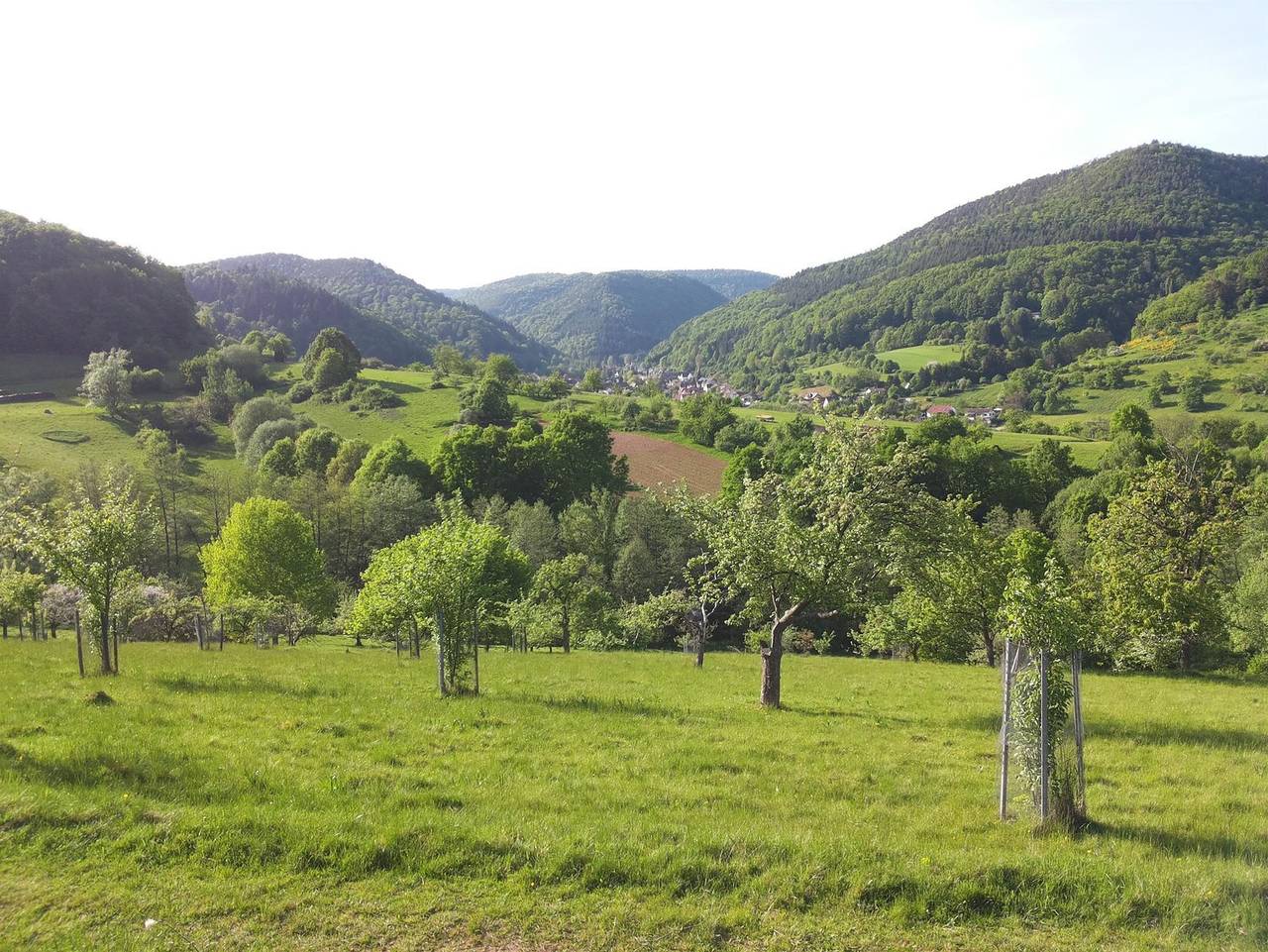 Ganze Ferienwohnung, Ferienwohnung am Sulzbach - Ferienwohnung am Sulzbach in Eußerthal, Südliche Weinstraße