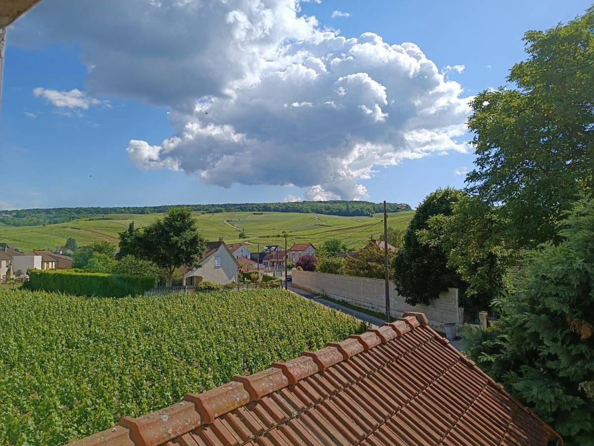 Appartement entier, Gîte indépendant Diz'enreves au cœur des vignes in Dizy, Parc naturel régional de la Montagne de Reims