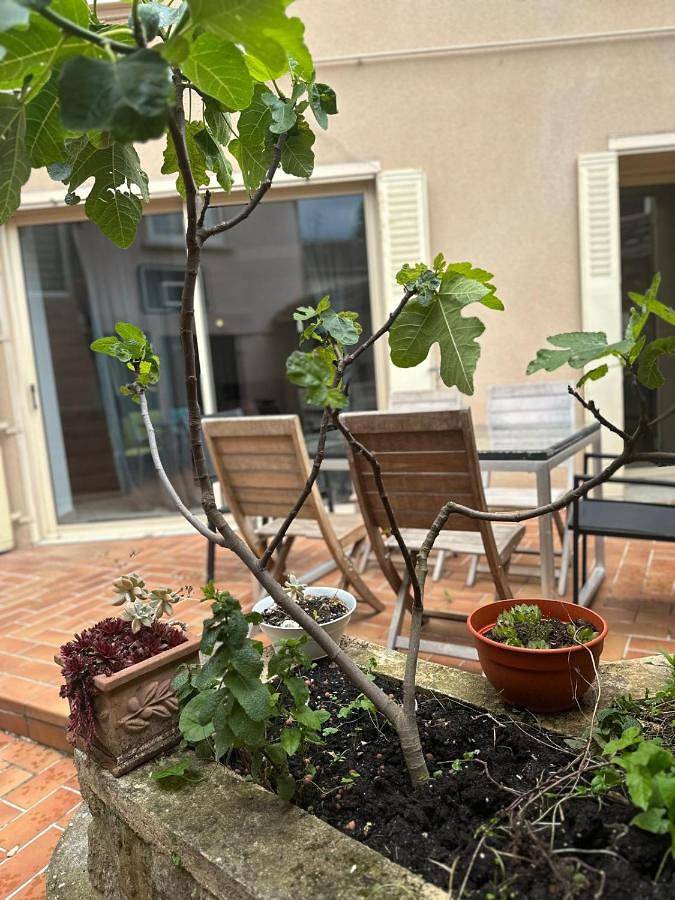 Maison de vacances pour 15 personnes, avec Jacuzzi et Terrasse dans Gare de l'Isle d'Abeau