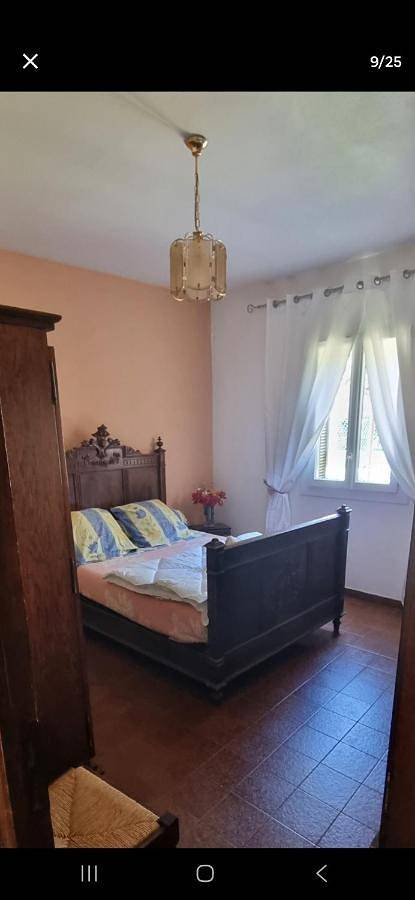 Gîte pour 4 personnes, avec vue et terrasse, animaux acceptés à Omessa - 2