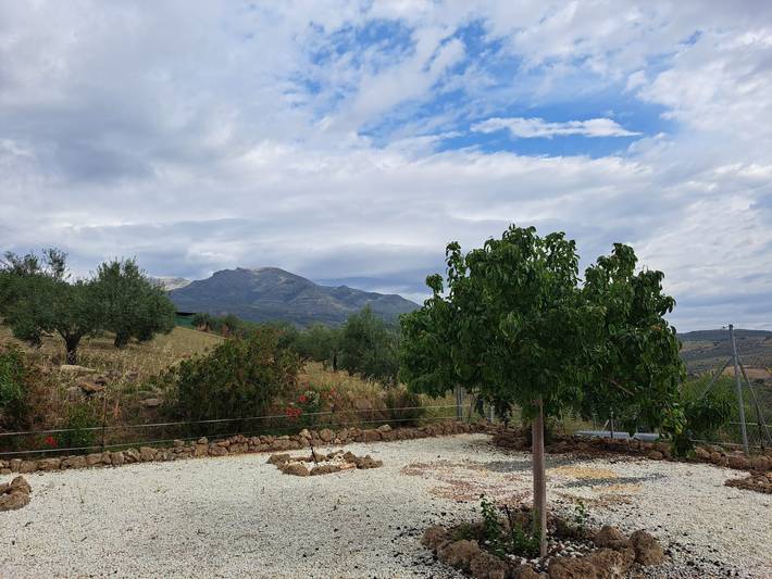 Location de vacances pour 5 personnes, avec jardin à Alozaina - 4