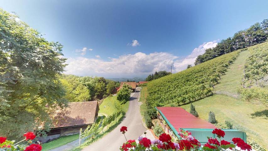 Ferienwohnung für 6 Personen, mit Ausblick und Garten - 1