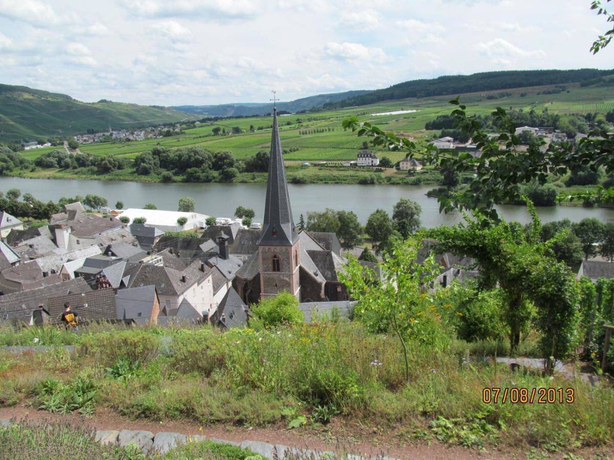 Ganze Wohnung, Fewo Ingrid Trossen in Ürzig, Bernkastel-Kues & Umgebung