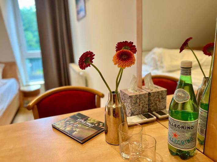 Hotel für 2 Personen, mit Terrasse in Edenkoben - 3