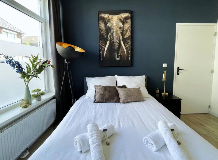 Maison d’hôte pour 2 personnes, avec terrasse à Tilbourg - 4