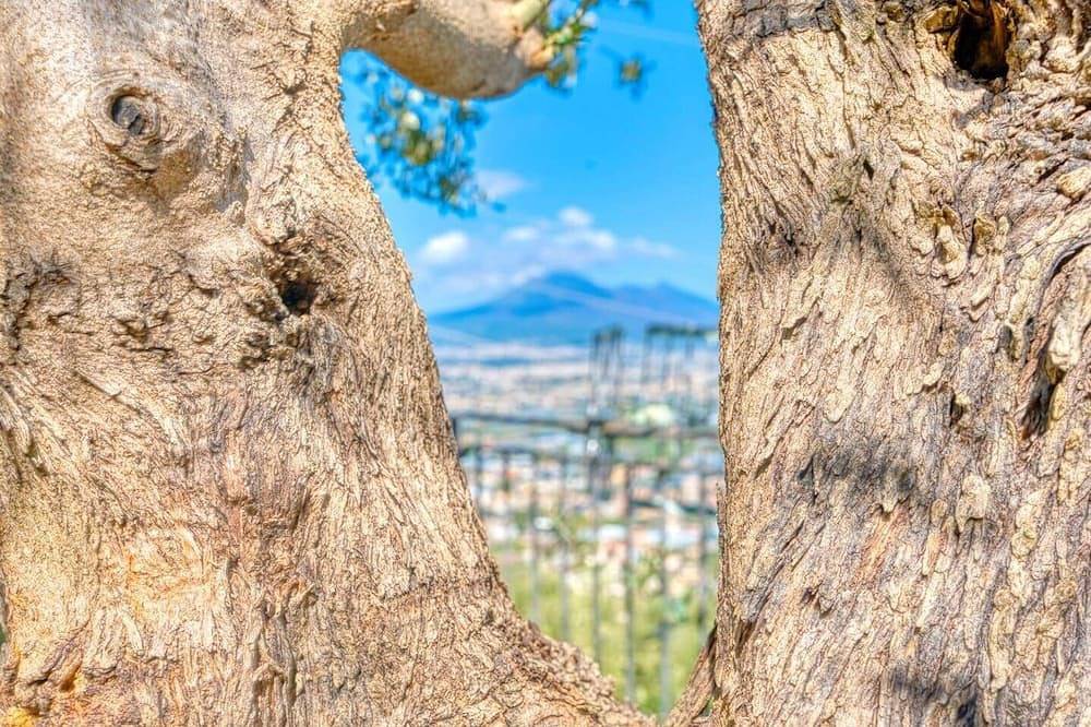 Villa Eteria – Private Panoramic Villa near Pompeii in Lettere, Naples Province