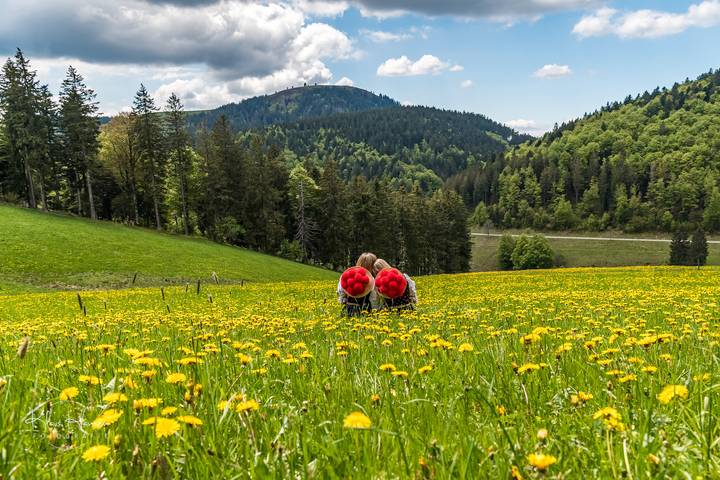 Ganze Ferienwohnung, Schwarzwaldhaus Wiesenblick - App. "Blumenzimmer" in Todtmoos in Todtmoos - Weg, Todtmoos