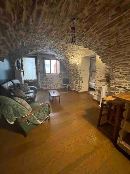 Appartement entier, Charmante cave voûtée 4 personnes in Saint-Jean-de-Fos, Région de Lodève