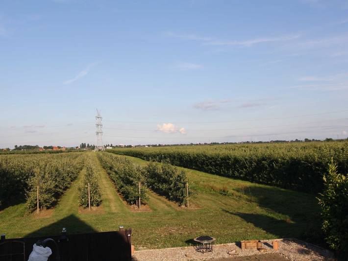 Ferienwohnung für 3 Personen, mit Garten und Terrasse in Hamburg Umland - 2