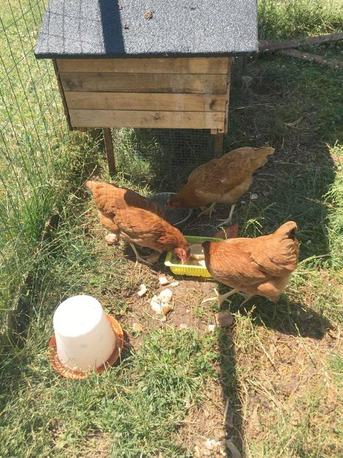 Location de vacances pour 3 personnes, avec piscine et jardin à Nazelles-Négron - 3