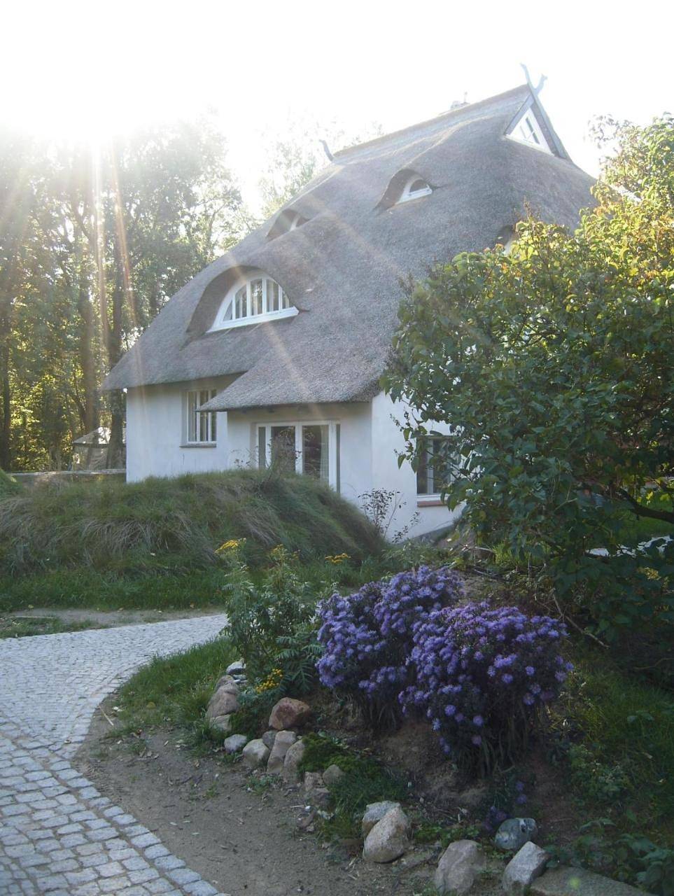 Alte Weberei Ahrenshoop - Ort der Erholung in Ahrenshoop, Fischland