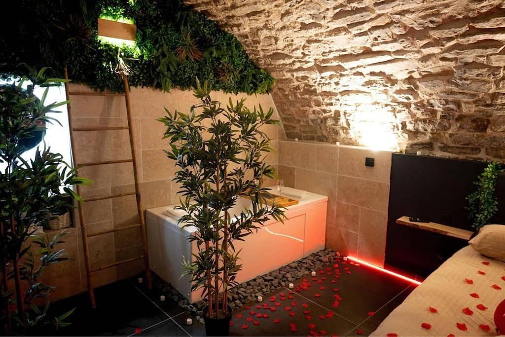 Appartement entier, One-Bedroom Apartment in Millau, Parc naturel régional des Grands Causses