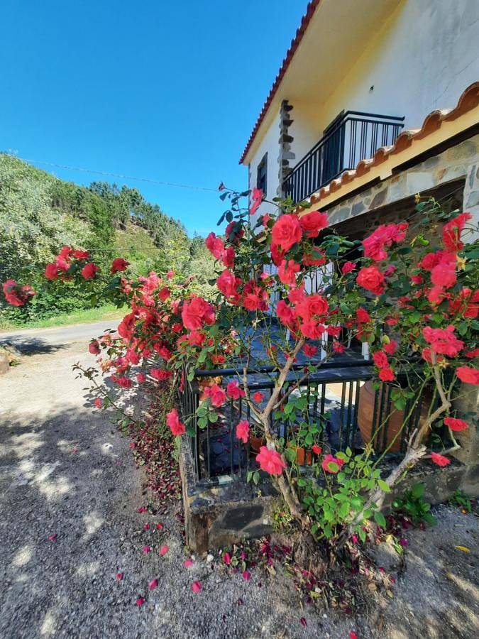 Location de vacances pour 6 personnes, avec vue et terrasse à Proença-a-Nova