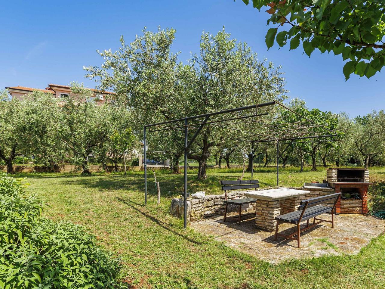 Cały apartament, Olivo in Novigrad, Umag i okolice
