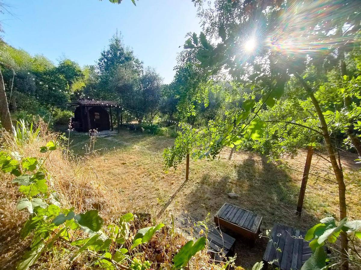 Quinta dos Covões in U.F Juncais, Vila Ruiva e Vila Soeiro do Chão, Serra da Estrela