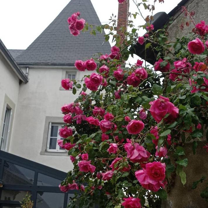 Maison d’hôte pour 2 personnes, avec Jacuzzi et Terrasse ainsi que Jardin et Vue