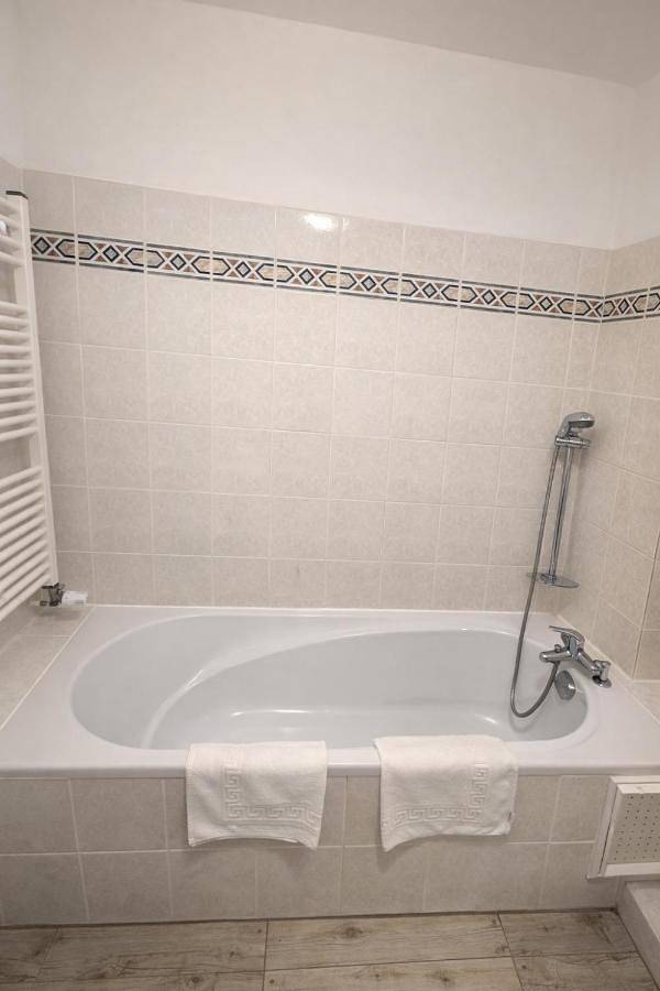 Hôtel pour 4 personnes, avec sauna et vue ainsi que jardin et piscine dans La Mare à Joncs - 2