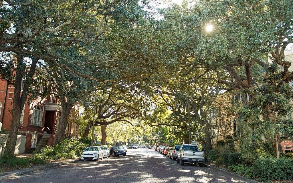 Ganze Wohnung, Aufenthalt bei Lucky Savannah: 1 Schlafzimmer mit Mittagessen von Frau Wilkes Restaurant in Savannah, Chatham County