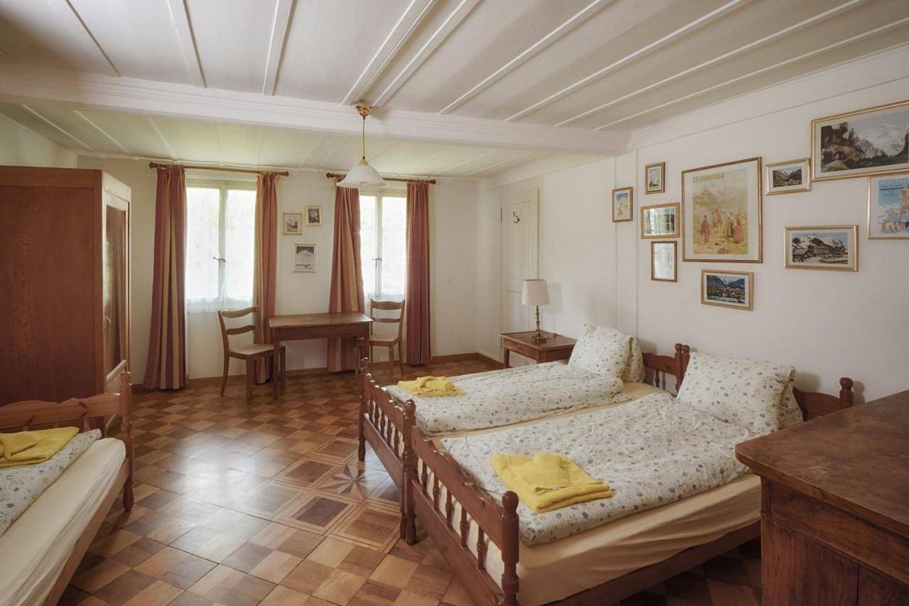 Cały apartament, Citychalet historic in Interlaken, Thunersee