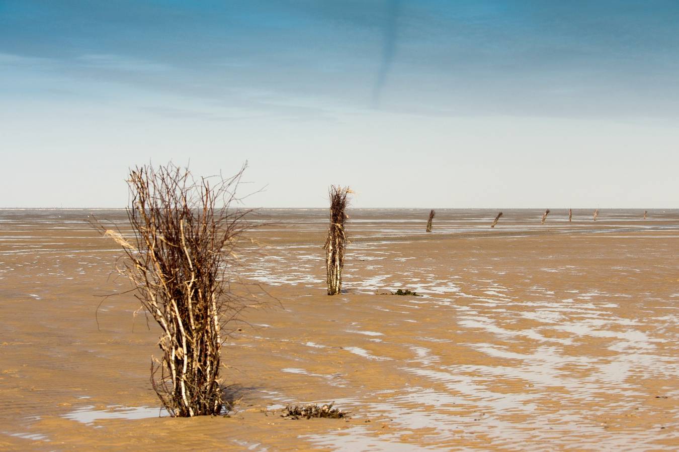 Ganze Wohnung, CuxDuHier Ug - Seestern in Sahlenburg Strand, Cuxhaven