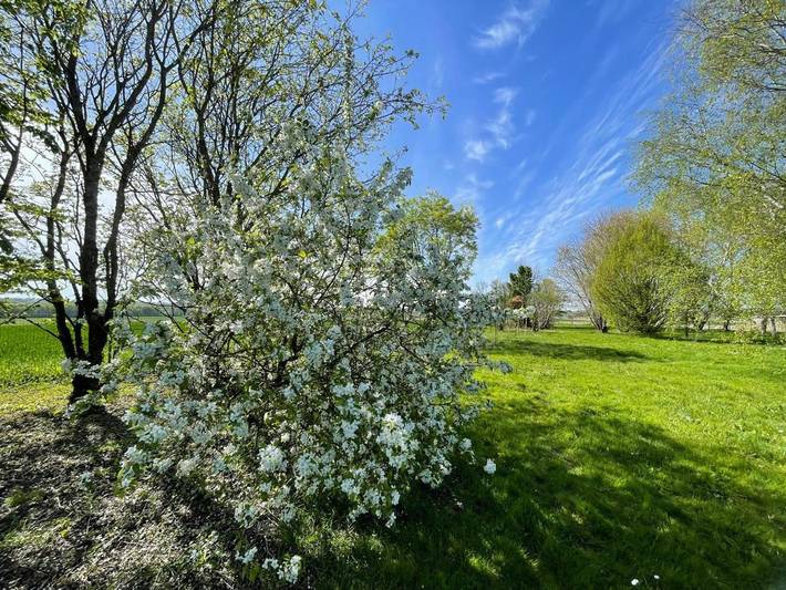 Location de vacances pour 3 personnes, avec jardin ainsi que vue et terrasse dans Tugéras-Saint-Maurice