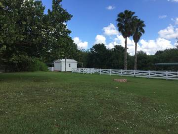 Bed And Breakfast for 6 Guests in Everglades, Florida, Picture 4
