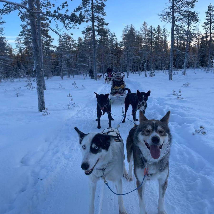 Sæteråsen Hytter & Camping Trysil in Trysil